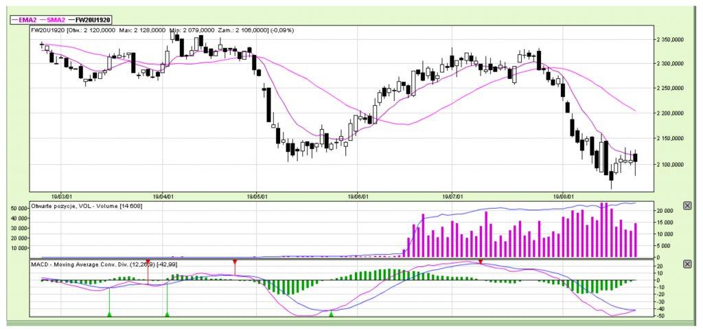 Wykres 3 – Kontrakty na WIG20
