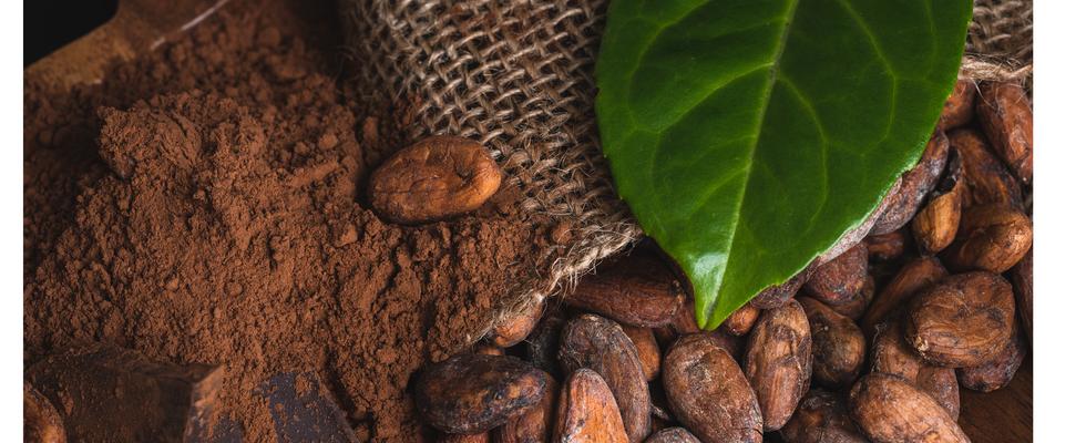 Kakao czyli Aromatyczny Miękki Surowiec