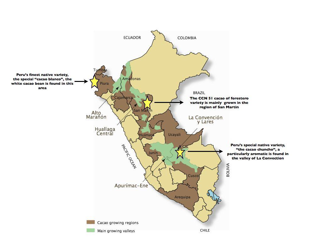 Plantacje Kakao w Peru. źródło: https://onthecocoatrail.com/my-project/