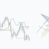 Poradnik Inwestowania cz.7 – Zawodowy Trader