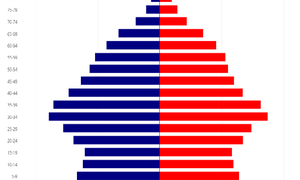 Cała prawda o Nie-ruszających się mościach cz. II - Demografia i Polityka